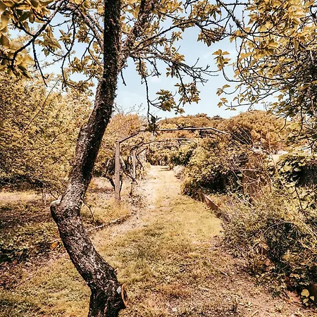 Casa de Férias Casa Da Rampa By Gt House *