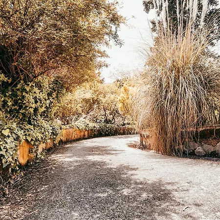 Casa Da Rampa By Gt House Sintra